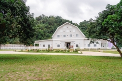 the-barn-mango-ranch-dumaguete-DSC01332