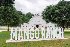 the-barn-mango-ranch-dumaguete-DSC01333