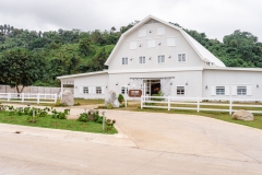 the-barn-mango-ranch-dumaguete-DSC01339