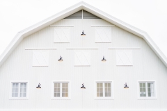 the-barn-mango-ranch-dumaguete-DSC01463