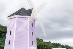 the-barn-mango-ranch-dumaguete-DSC01478