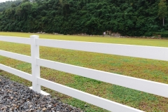 the-barn-mango-ranch-dumaguete-DSC01491