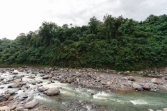 the-barn-mango-ranch-dumaguete-DSC01501